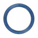 Simering SOG 100X125X12 mm