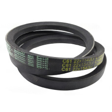 Curea CASE-IH Gates Delta 452864R1