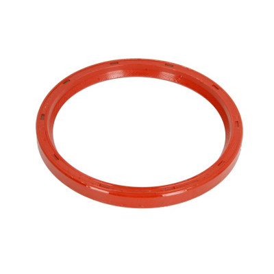 Simering arbore motor FORD Victor Reinz 122.24X141.2X12 mm E3NN6701BA, E5NN6701BA Simering arbore motor FORD Victor Reinz 122.24X141.2X12 mm E3NN6701BA, E5NN6701BA