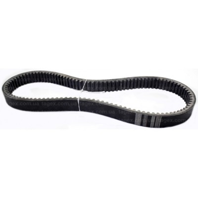 Curea Tagex 644177