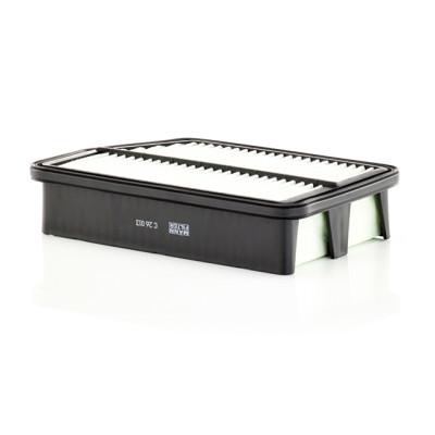 FILTRU AER
