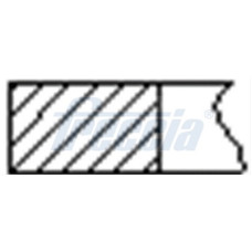 SET SEGMENTI PISTON
