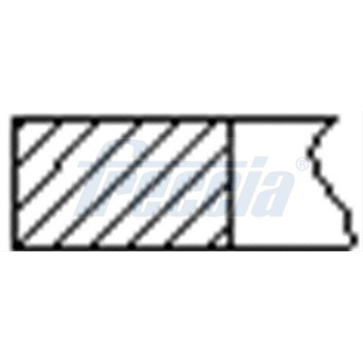 SET SEGMENTI PISTON