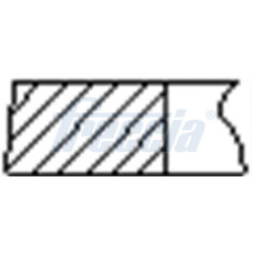 SET SEGMENTI PISTON