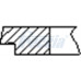 SET SEGMENTI PISTON