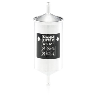 FILTRU COMBUSTIBIL
