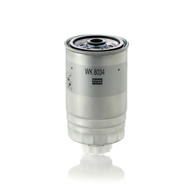 FILTRU COMBUSTIBIL