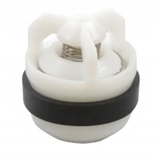 Supapa pompa Rau RG00002714